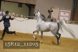 15R12_11205 proof