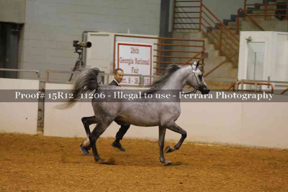 Proof 15R12_11206