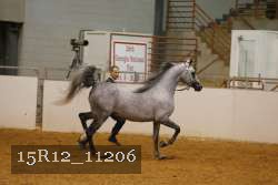15R12_11206 proof