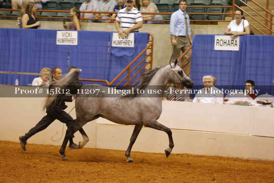 Proof 15R12_11207