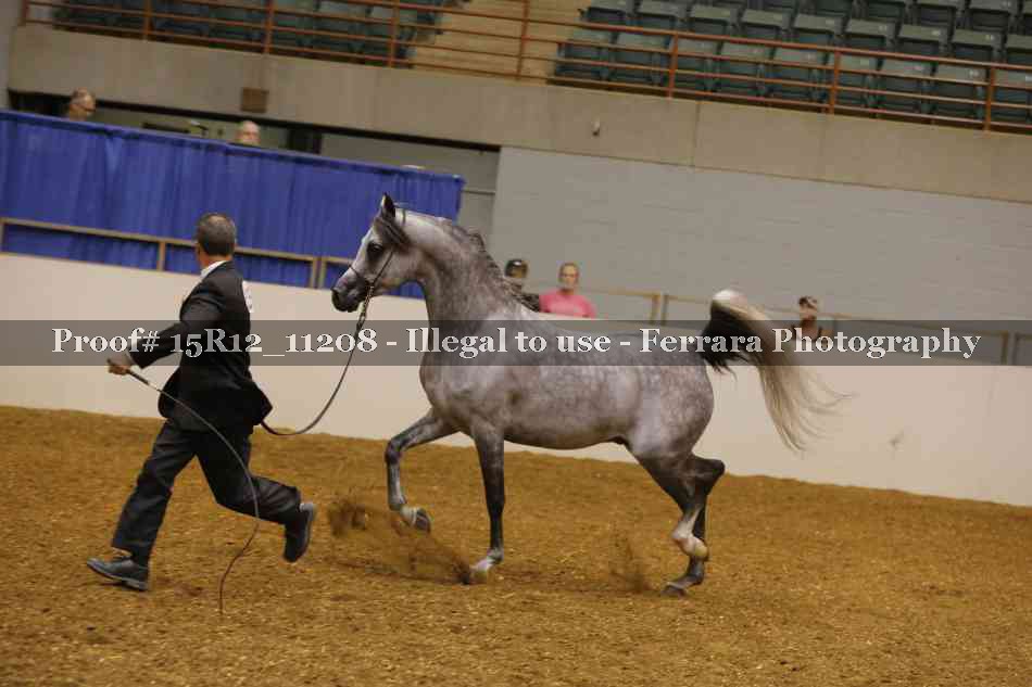 Proof 15R12_11208