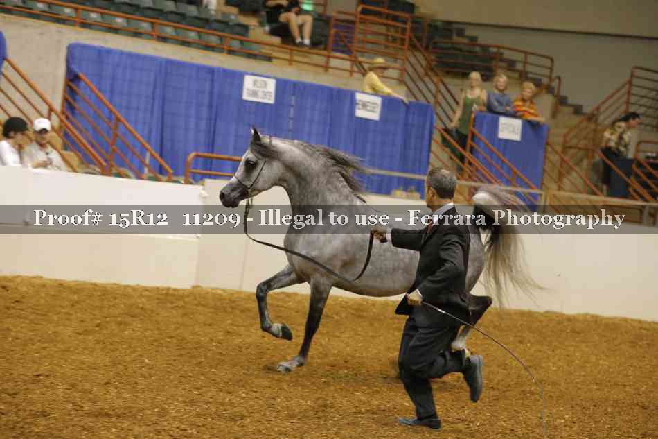 Proof 15R12_11209