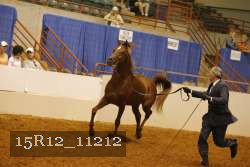 15R12_11212 proof