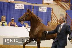 15R12_11213 proof