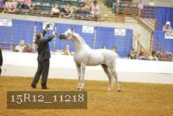 15R12_11218 proof