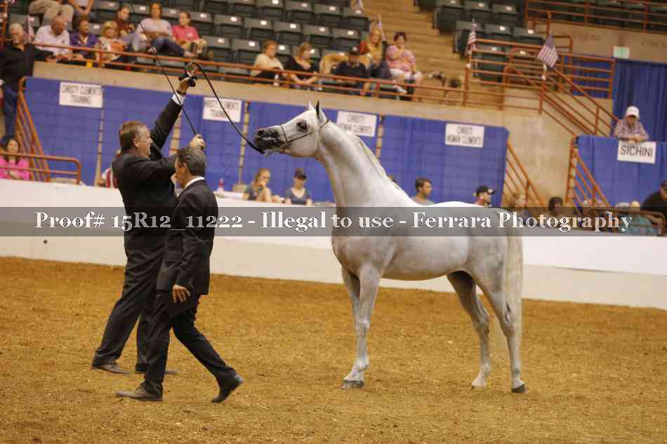 Proof 15R12_11222