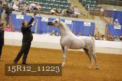 15R12_11223 proof