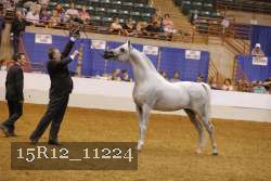 15R12_11224 proof