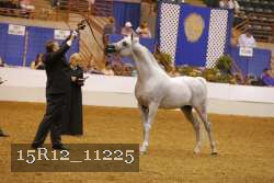 15R12_11225 proof