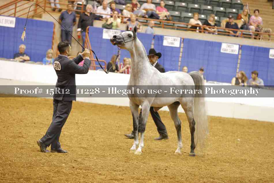 Proof 15R12_11228
