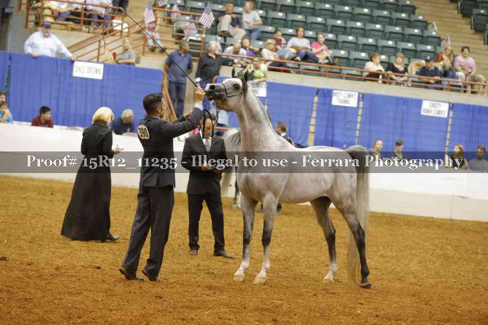 Proof 15R12_11235