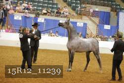 15R12_11239 proof