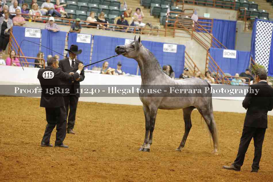 Proof 15R12_11240