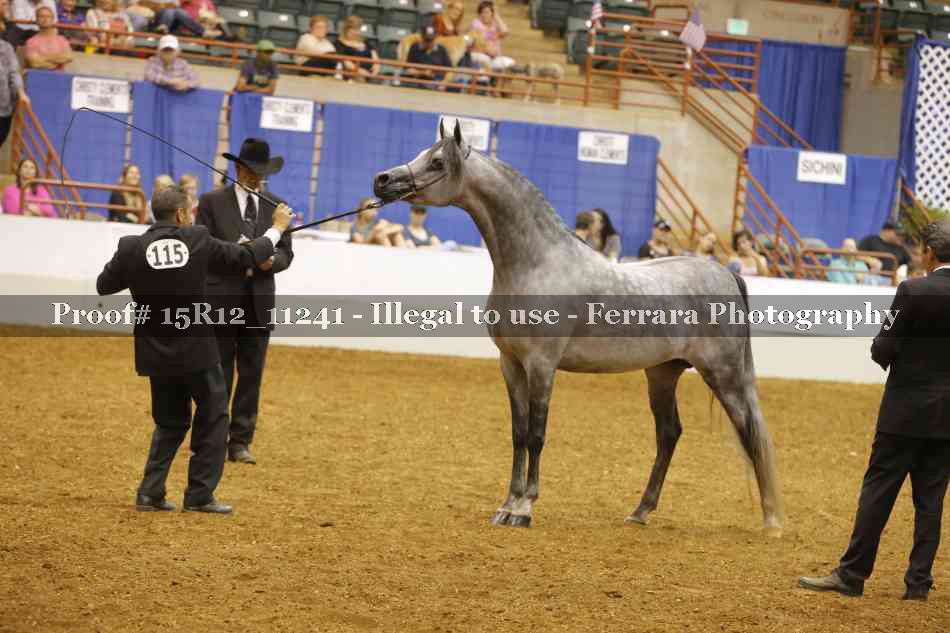 Proof 15R12_11241