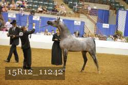 15R12_11242 proof