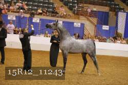 15R12_11243 proof