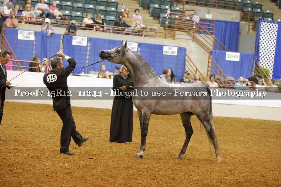 Proof 15R12_11244