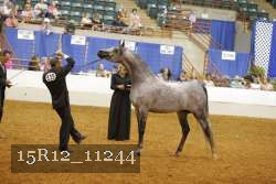 15R12_11244 proof