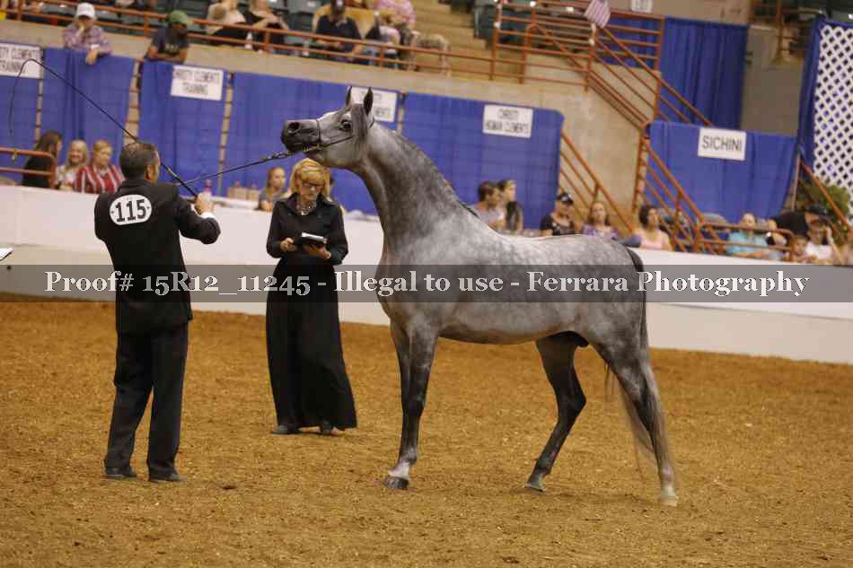 Proof 15R12_11245