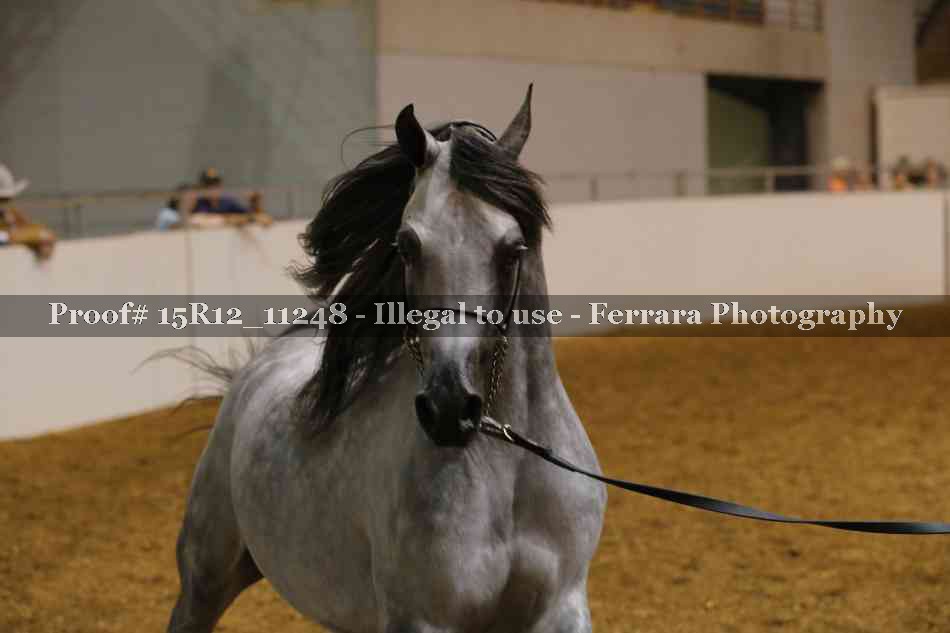 Proof 15R12_11248