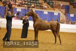15R12_11252 proof