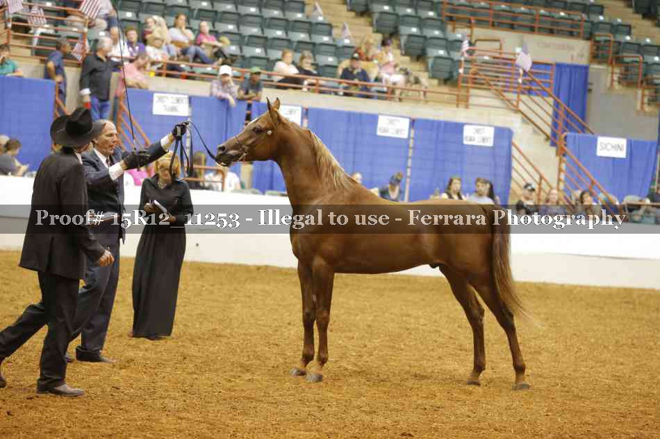 Proof 15R12_11253
