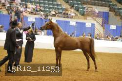 15R12_11253 proof