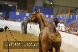 15R12_11257 proof