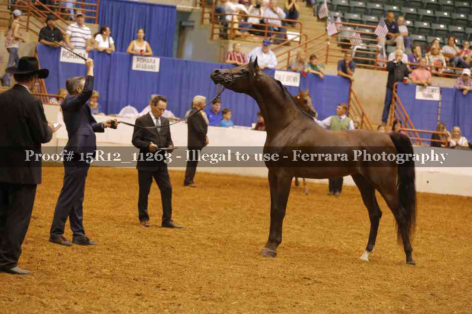 Proof 15R12_11263