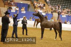 15R12_11264 proof