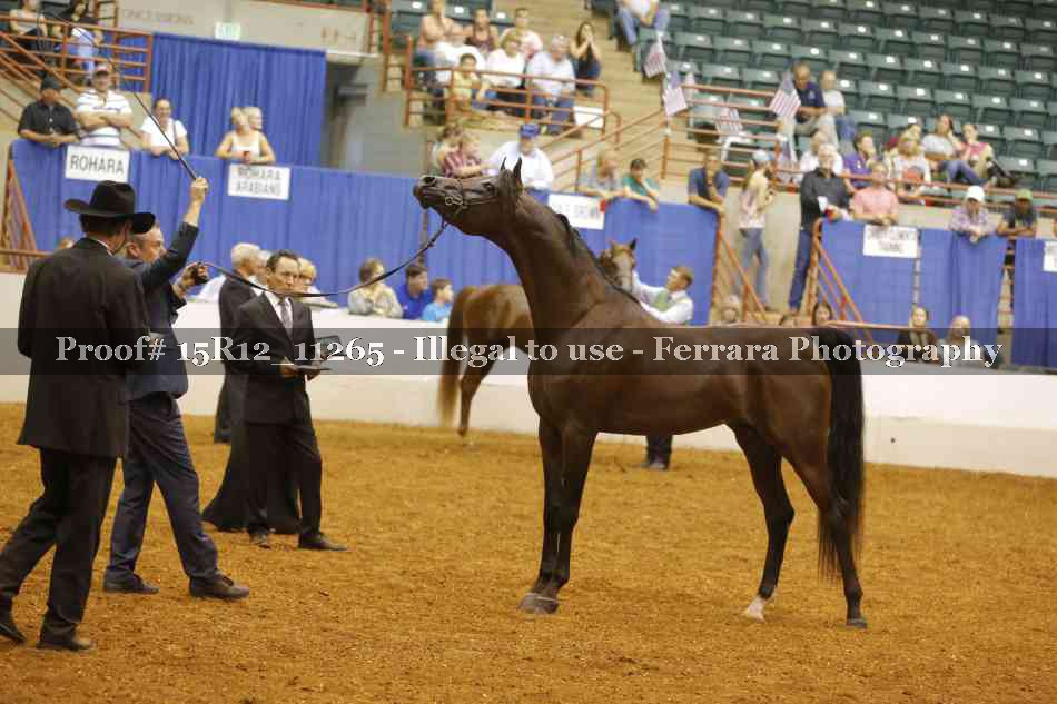 Proof 15R12_11265