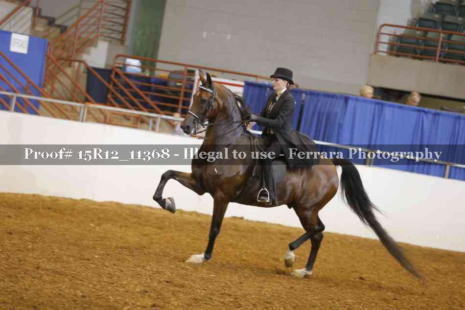 Proof 15R12_11368