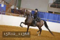 15R12_11368 proof