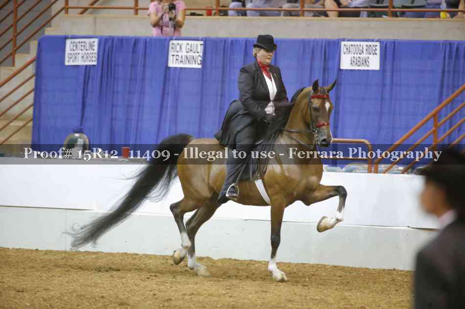 Proof 15R12_11409