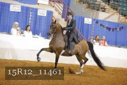 15R12_11461 proof