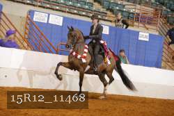 15R12_11468 proof