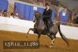 15R12_11486 proof