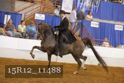 15R12_11488 proof