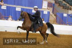 15R12_11490 proof