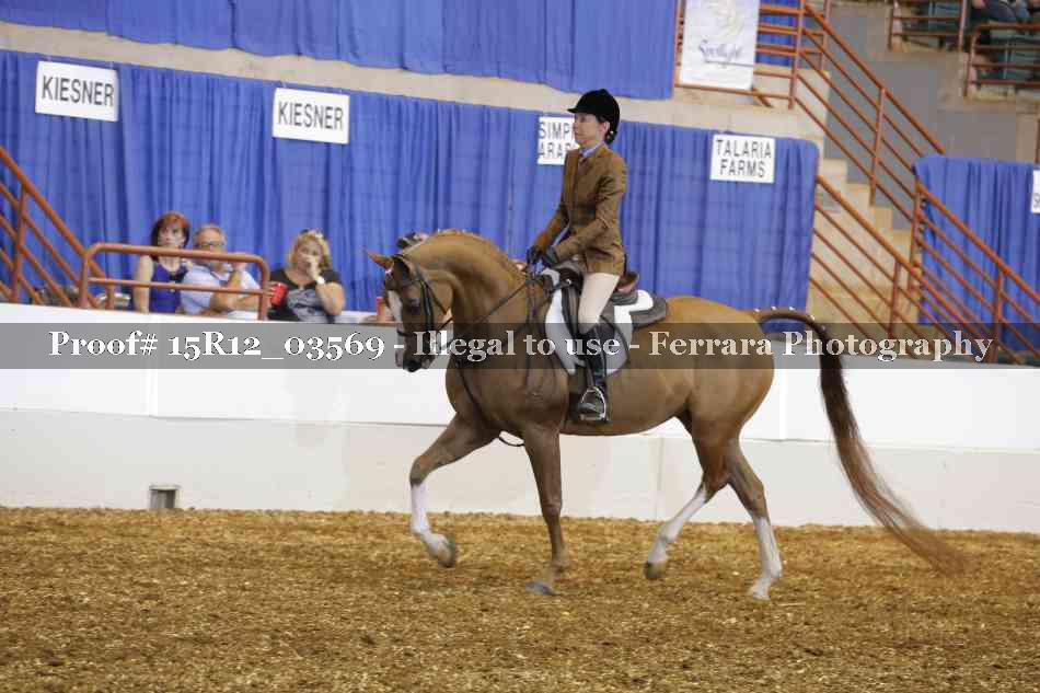 Proof 15R12_03569