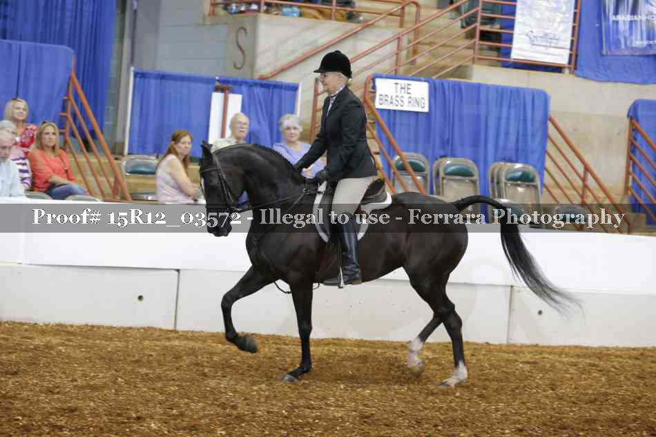 Proof 15R12_03572
