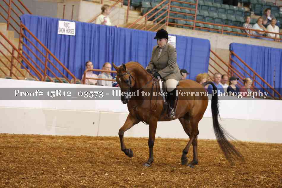 Proof 15R12_03573