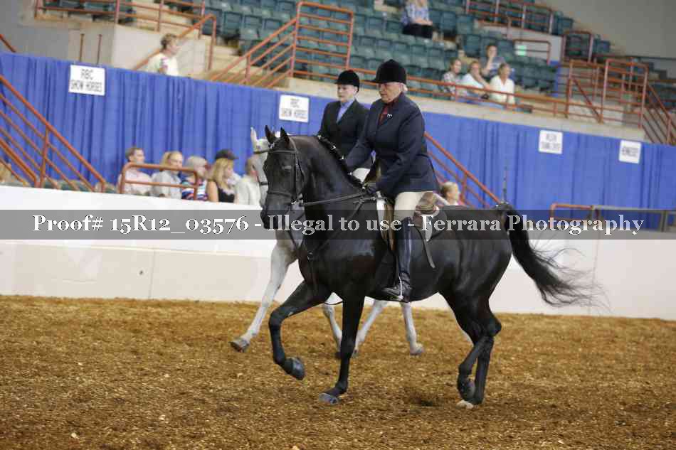 Proof 15R12_03576