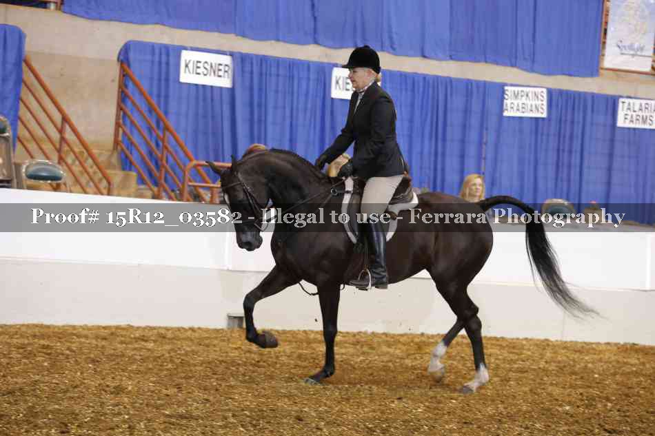 Proof 15R12_03582