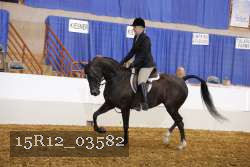 15R12_03582 proof