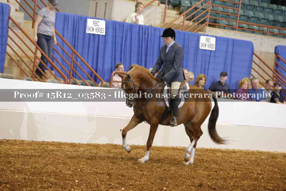 Proof 15R12_03583