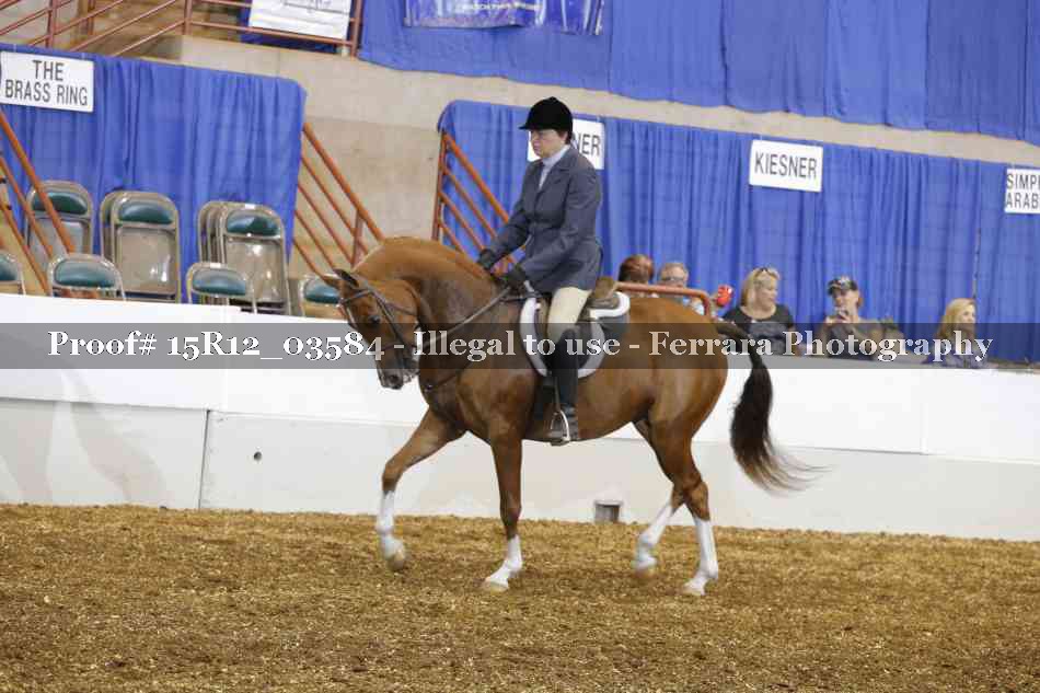 Proof 15R12_03584