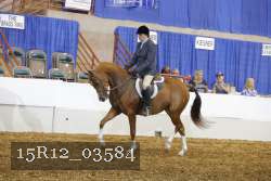 15R12_03584 proof