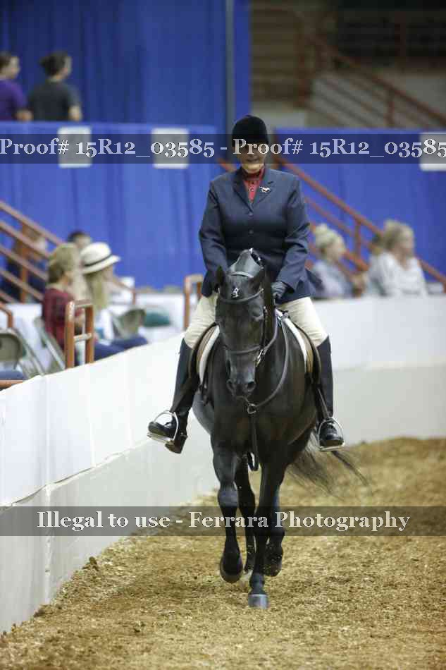 Proof 15R12_03585