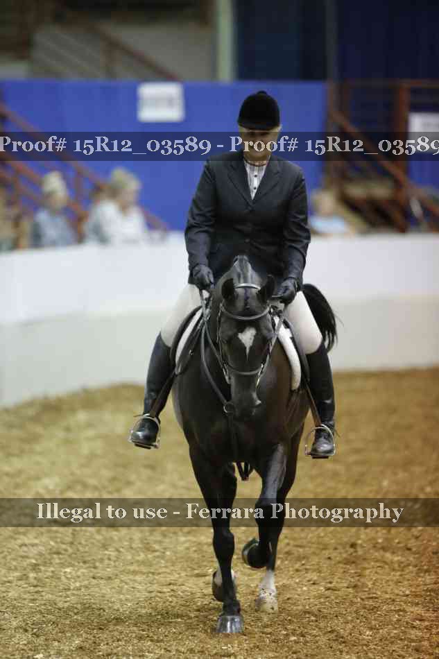 Proof 15R12_03589